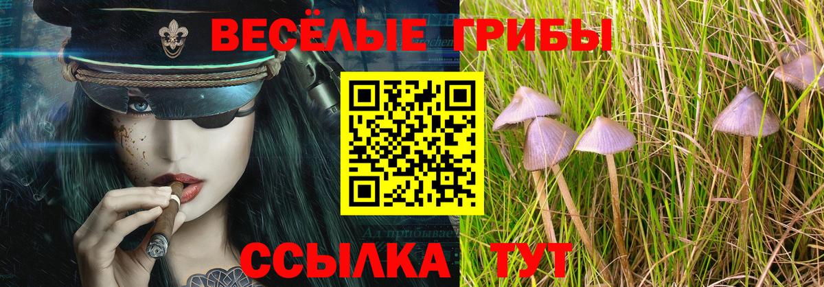 Елизово  Псилоцибиновые грибы ЛСД  Вход с VPN 