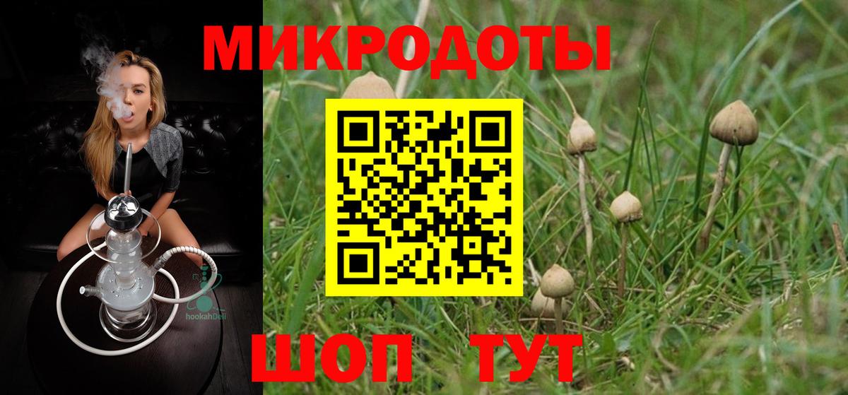 Псилоцибиновые грибы Cubensis Елизово